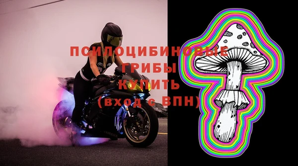 МДПВ Алексин