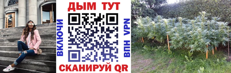 МАРИХУАНА Ganja  Беслан 
